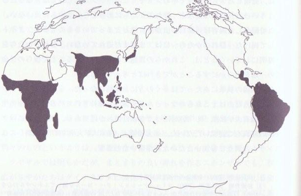 ヒト以外の霊長類の生息域