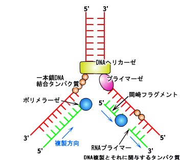 岡崎フラグメント様専用 odmalihnogu.org